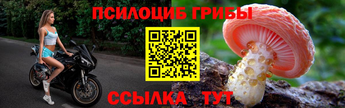 Псилоцибиновые грибы Magic Shrooms Кимры
